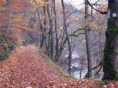 Zwischen Treseburg und Altenbrak verluft der Harzer Hexen-Stieg entlang der Kalten Bode.