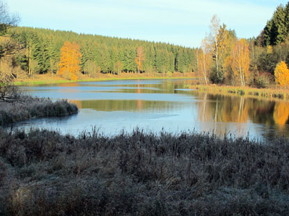 Hexenstieg Harz: Herbststimmung an der Hasselvorsperre bei der Hagenmhle