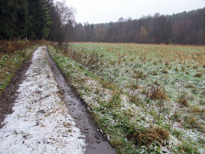 b der Hagenmhle verluft der Harzer Hexen-Stieg durch das Bodetal