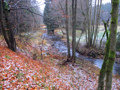 Die Kalte Bode begleitet uns bis Elend