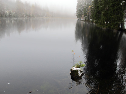 Der 300 m lange Silberteich bei Braunlage wurde 1755 fr die Versorgung eines nahe gelegenen Bergwerks mit Wasserkraft gebaut.