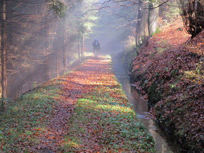 Ein Wanderer auf dem Grabenweg zum Sperberhaier Dammhaus