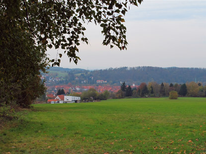 von einer der ersten Höhen schaute ich nochmals hinab in das Tal, wo Osterode mit seinen roten Dächern aus den grünen Tannenwäldern hervorguckt, wie eine Moosrose."