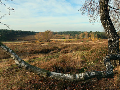 Heidschnuckenweg: Blick auf den Segelflugplatz