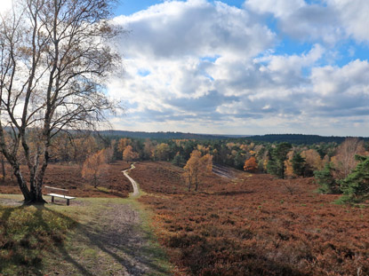 Blick vom Brunsberg in westlicher  Richtung