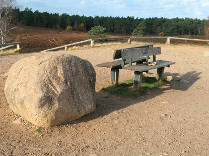 Heidschnuckenweg: Plateau des Brunsbergs