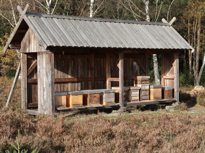 Bienenhaus im Büsenbachtal