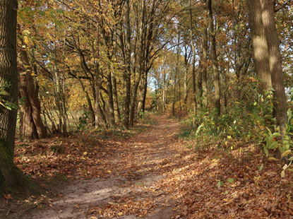 Heidschnuckenweg vor Handeloh führt entlang der Bahngleise