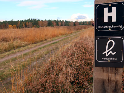 Heidschnuckenweg gut markiert durch die Weseler Heide