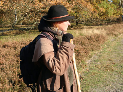 Wehlener Heide