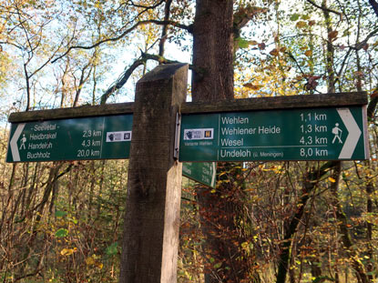 Wegtrennung  Heidschnuckenweg  vor Wehlen