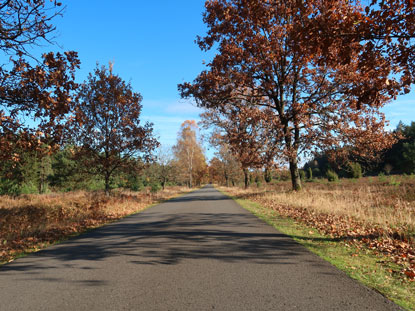 Wehlener Heide