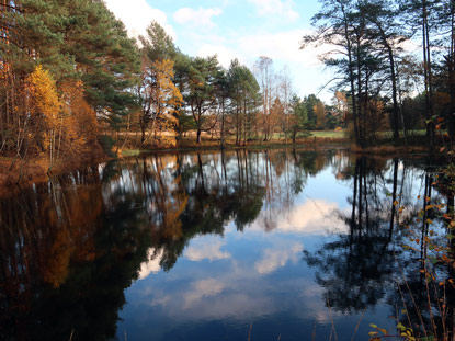 Weseler-Bach-Teiche