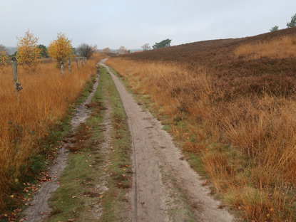 Wanderweg durch das Radebachtal bei Undeloh