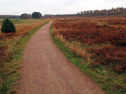 Ostrheide bei Niederhaverbeck