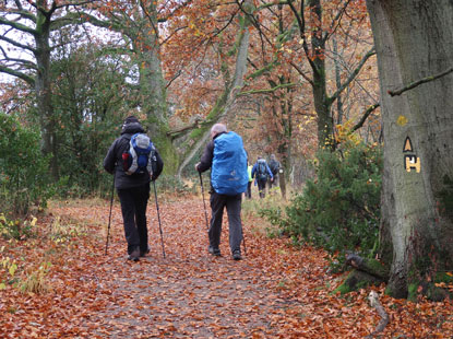 Unterwegs auf der Alternativroute von Niedrhaverbeck nach Schneverdingen