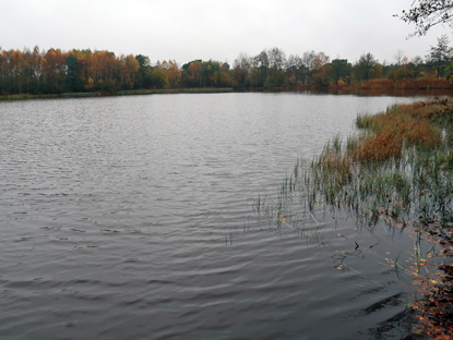 Silvestersee bei Schneverdingen