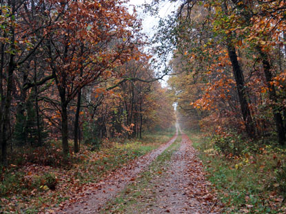 Spitzbubenweg