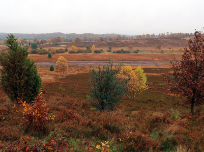 Aussicht vom Wmmeberg 