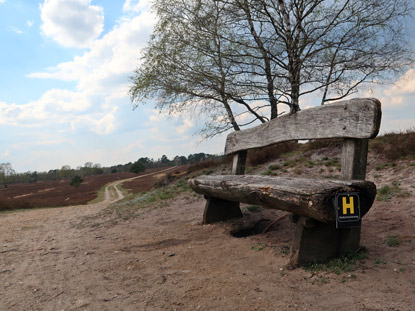 Die Variante Osterheide ist wieder erreicht, erkennbar an dem gelb markierten Wanderzeichen