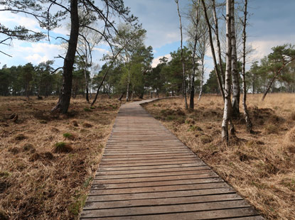 Holzsteg ber das Mhrer Mohr in der Lneburger Heide