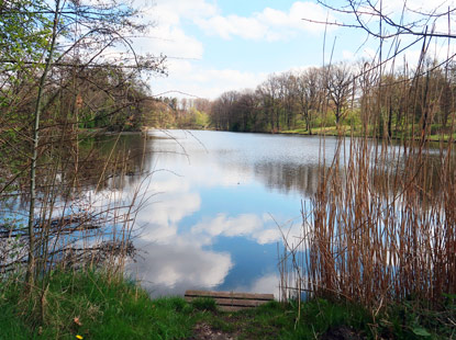 Heidschnuckenweg: Brunausee bei Behringen in der Lndeburger Heide