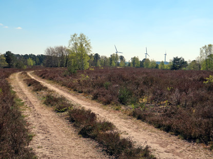 Heidschnuckenweg: Der Kreuzberg, eine Erhebung aber kein Berg