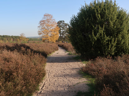 Vom Lnsdenkmal am Wietzer Berg fhrt der Heidschnuckenweg hinunter zu einem Kiosk und Parkplatz