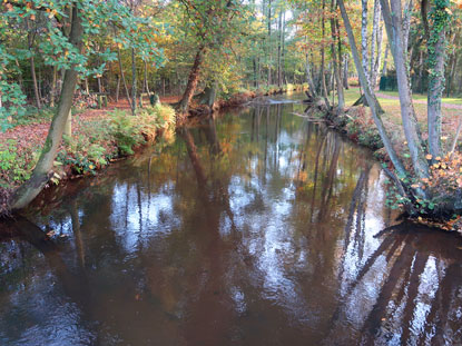 Der Fluss rtze bei Mden