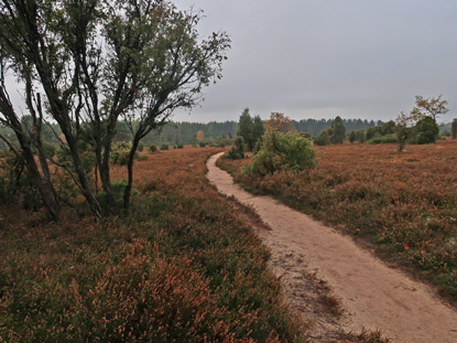 Wachholderwald und Heidelandschften wechseln sich ab