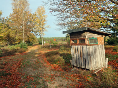 Ein Hochsitz am Heidschnuckenweg. Er scheint uns doch etwas zu klein geraten zu sein.