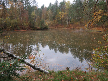 Teiche bi Oberohe erinnern an den Abbau von Kieselgur