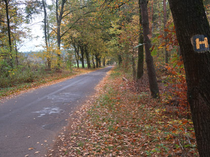 Unterwegws auf der Heidschnuckenweg Variante bei Oberohe