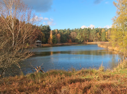 brblick ber den Angelbecksteich mit dem Pavillon (Schutzhtte)