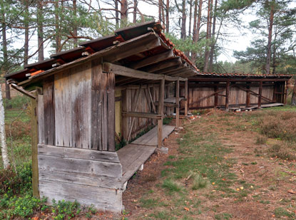 Bienenzaun in der Misselhorner Heide