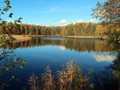 Die Baggerseen bei Oldendorf werden als Fischteiche benutzt