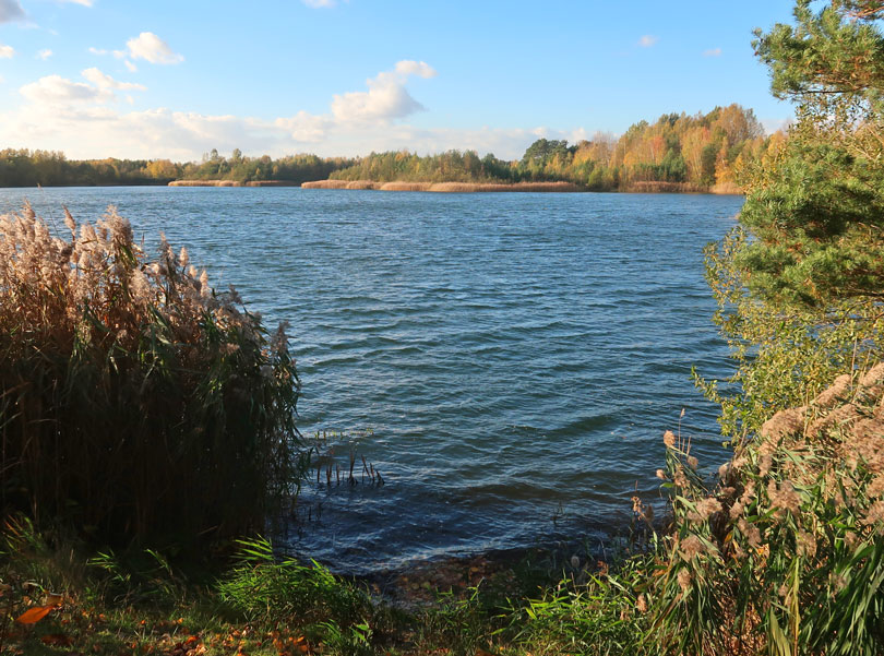 Ehemalige Kiesgrube bei Oldendorf an der rtze