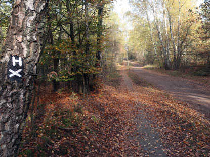 Heideschnuckenweg und "Alte Celler Heerstrae"