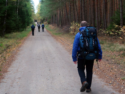 Wandergruppe auf dem Heidschnuckenweg bei Scheuen