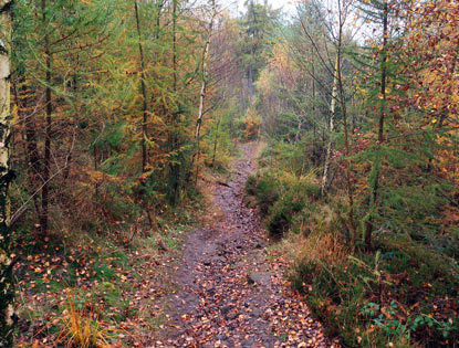 Abstieg vom Velmerstot 