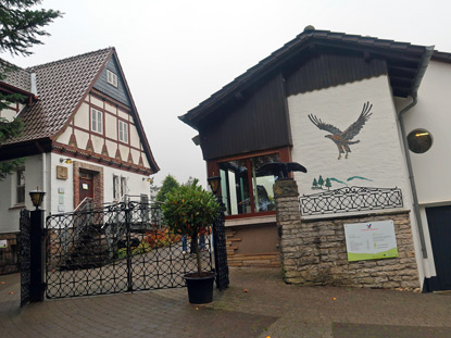 46 Greifvogelarten haben in der Adlerwarte von Berlebeck ihr Zuhause