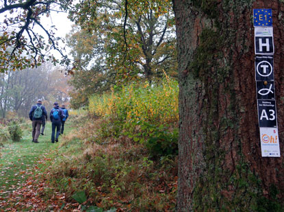 Holzhausen-Externsteine, Aufstieg zur "Vogeltaufe"