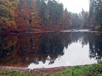Donoperteich beim Hotel Forstfrieden