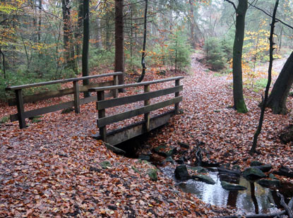Brcke ber den  Hasselbach berim Krebsteich