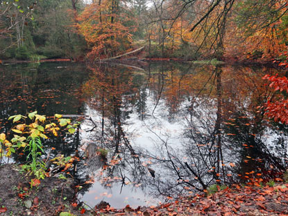 Krebsteich im Herbst. Liegt am Hermannsweg