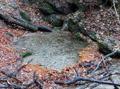 Rethlager Quellen im Teutoburger Wald
