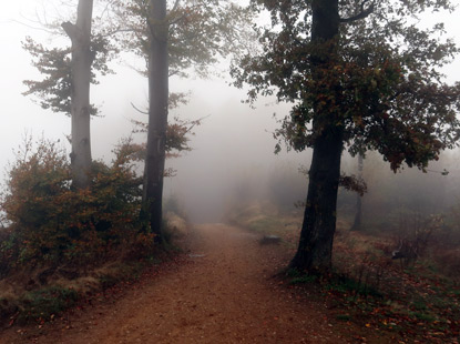 Ab dem Bergsattel Landwehrschling ein Panoramaweg nach Bielefeld