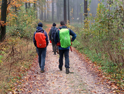 Wandergruppe auf dem Hermannsweg vor dem Vicqrienkopf