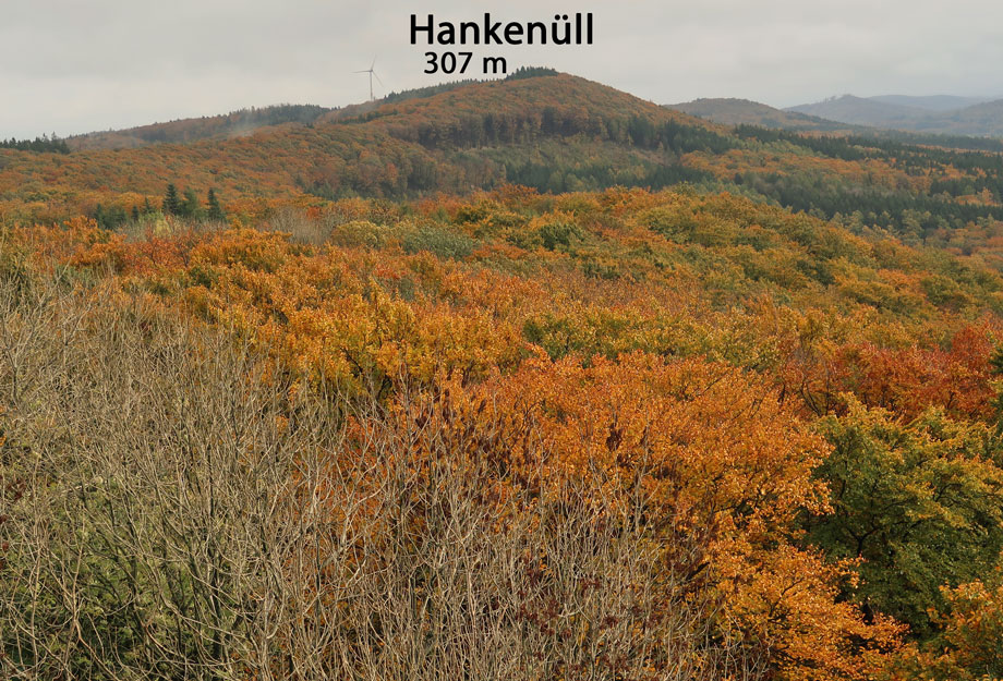 Blick von der Aussichtsplattform Fernsehturm Dissen s�d�stlich 