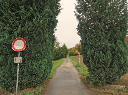 Hermannsweg  am Hilter Pass 